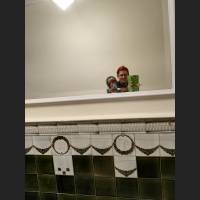 IMG_20170513_112751.jpg