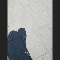 IMG_20170514_131841.jpg