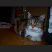 100_2562.jpg